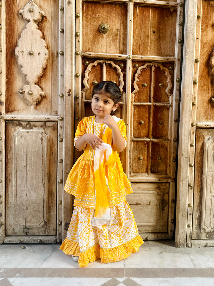 Dandelion Bandhej Sharara Set