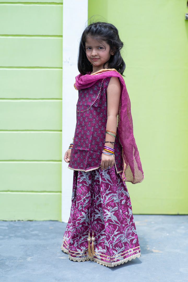 Plum Purple Kurti & Lehenga Set